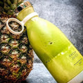 Portable Mini Blender for Fresh Juice